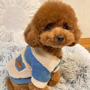 ���N̩��Ȯ��Ȯ��̩���㙉ɫ̩�Ϲ���Ȯ���ﹷ�����wС�����̻���