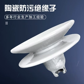 绝缘子;连接金具;避雷器