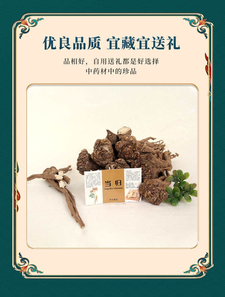 Premium Dang Gui from Dingxi Min County, Large and Medium-Sized Whole Roots, Sulfur-Free, New Stock, at Prices detail image