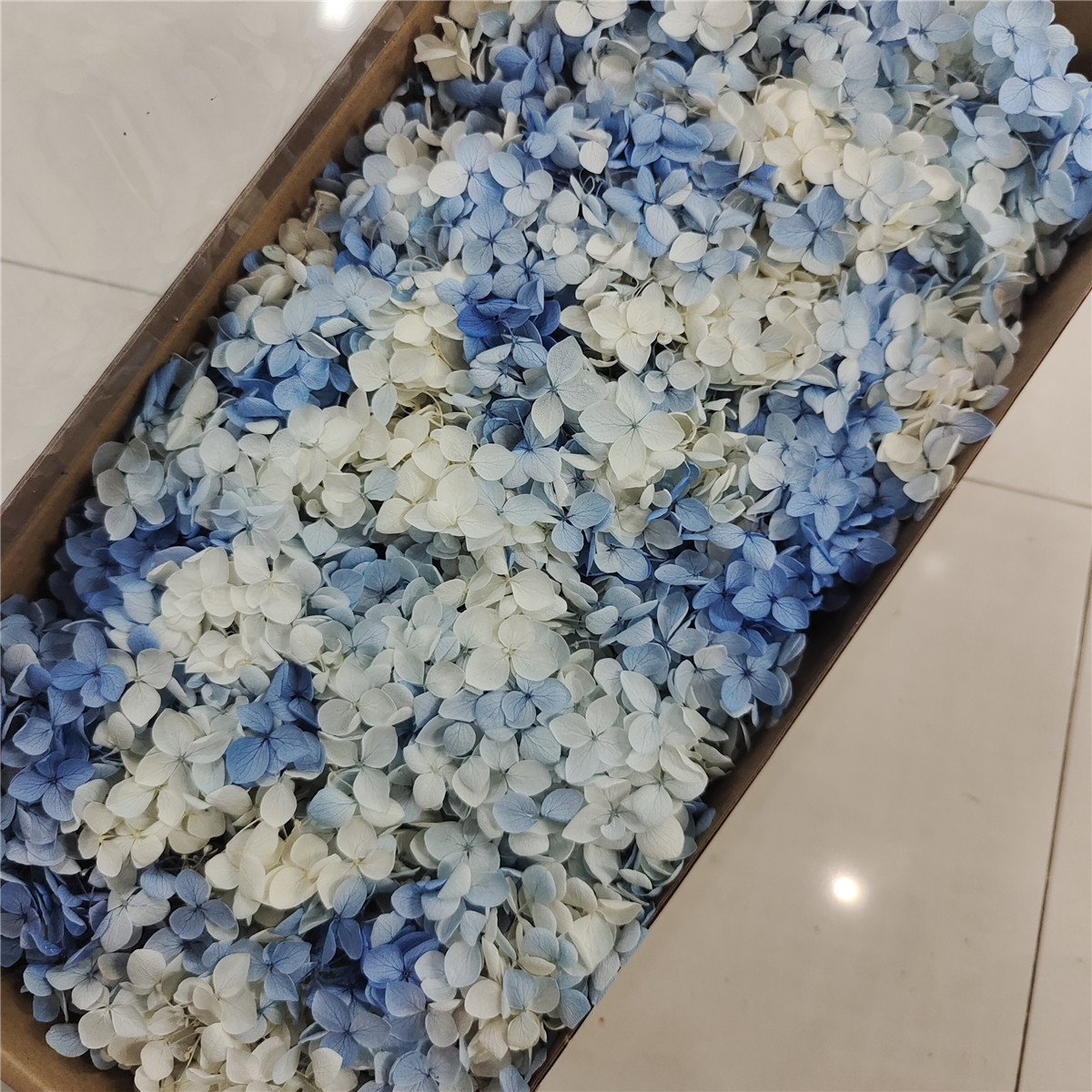 Flor eterna Hortensia Anna pequeña hoja flor seca flor real árbol de Navidad ventilador hecho a mano ramo DIY material paquete flor