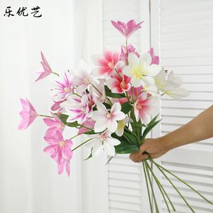 ����ˇ 5�^���m��֦PU�zƬ���m���m �ҾӔ[�OӰҕ���b[�Ż���