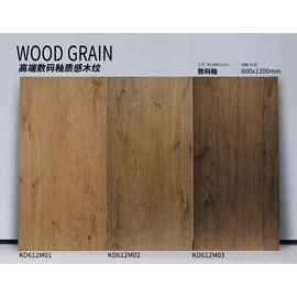 地面砖;其他瓷砖;内墙砖