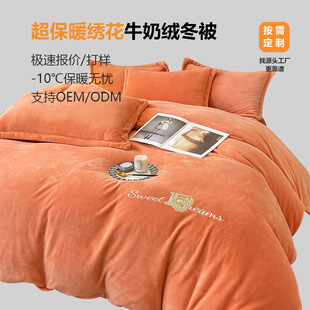 Cross-Border Domestic Sales Processed Embroidered Double-Sided Milk Velvet Quilt Core Skin-Friendly Quilt Winter Quilt Feather Velvet Thickened and Soft