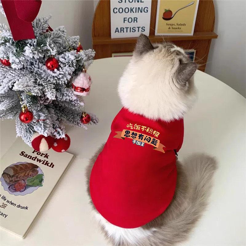 Ropa de felino de peluche otoño y invierno mascotas de Navidad de dos patas suéter gato azul gato muñecas de tela corta gato anti-pillo gatito gatito