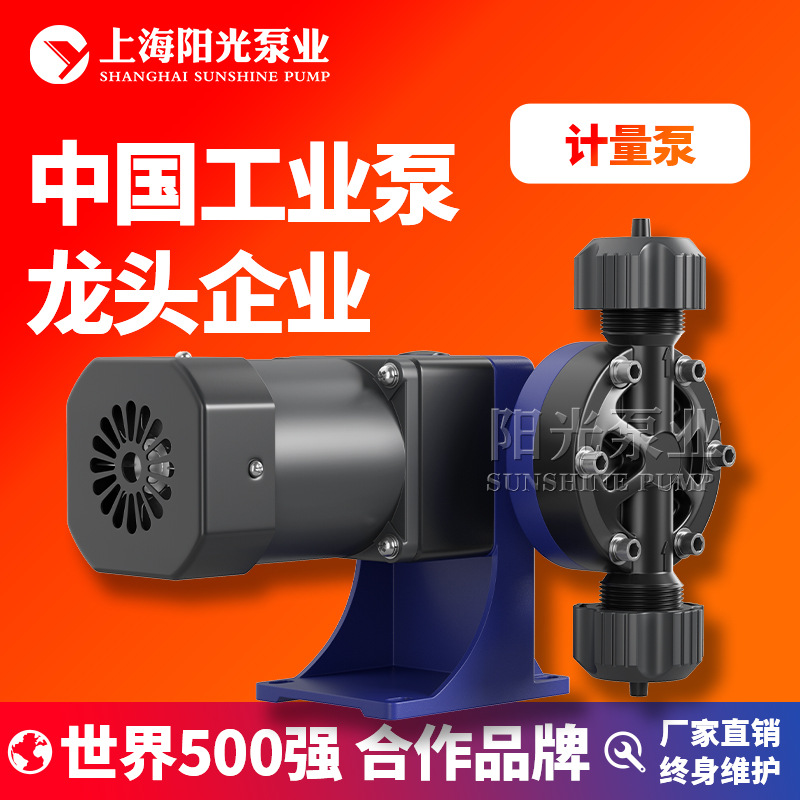 DJ-W型隔膜式计量泵 机械计量泵电磁隔膜计量泵高压计量泵