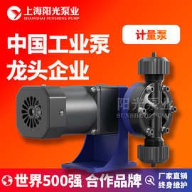 DJ-W型隔膜式计量泵 机械计量泵电磁隔膜计量泵高压计量泵 定金