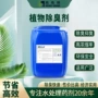 处理植物除臭喷淋塔除臭剂