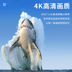 DisplayPort to HDMI 4K High-Definition Computer to TV Cable