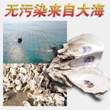 �~���^�V�����\���V�ļ�����ëˢ����򺚤�V���~���\����ĵϠ