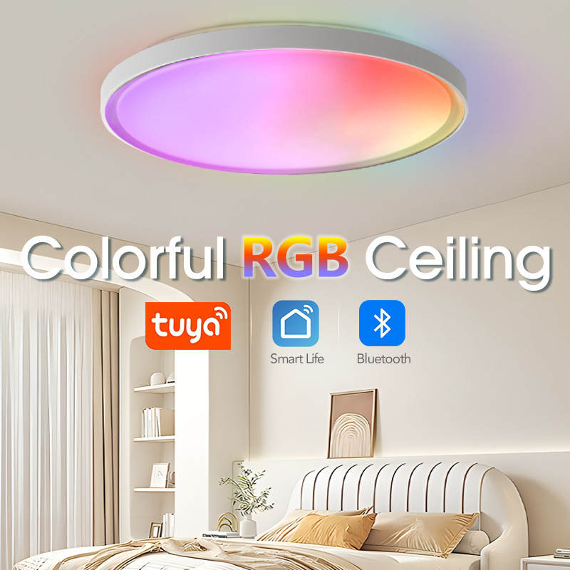 LED tri-proof lamp simple modern bedroom living room lamp balcony graffiti bluetooth smart lamp high side round ceiling lamp