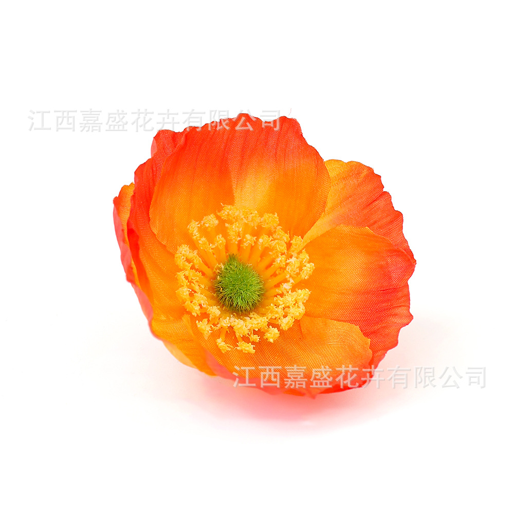 오렌지 레드