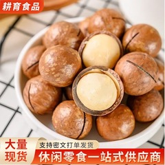 批发夏威夷果袋装奶油味 每日坚果仁干果零食小吃送礼 一件代发