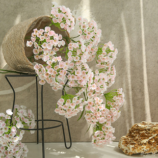 ���滨�ٻ�3�^����ʯ���p�ݼҾӿ͏d�廨�[���ٻ���ˇ�Ĕz����