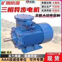 防爆三相异步电动机 矿用机械专用隔爆电机 供应YBK系列防爆电机