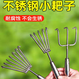 松土小耙子不锈钢耙子松土神器二齿小型盆景盆栽赶海种花工具园艺