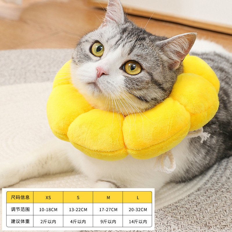 Pet girasol Elizabeth anillo gato collar perro collar esterilización vergüenza anillo anti-lamiendo anti-arañazos cubierta de la cabeza