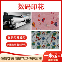 厂家现货数码印花加工各种花色卡通口罩布儿童水果款水刺无纺布
