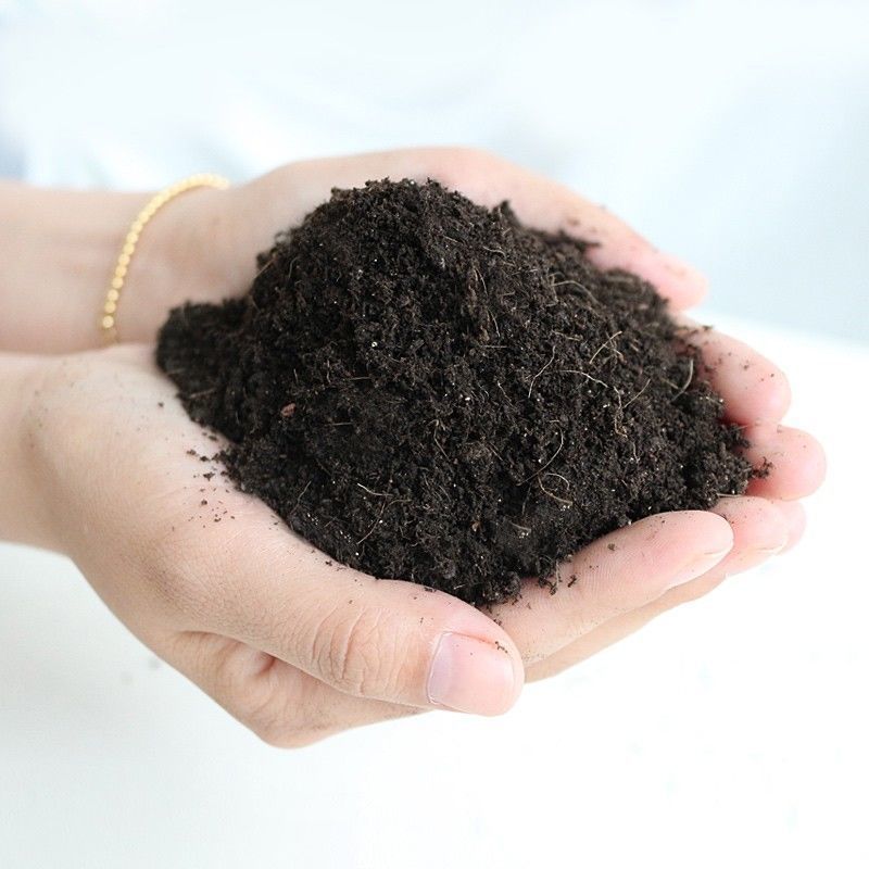 인기좋은토양 - 카르보디클로란 뿌리분 농장퇴비 - 영양토양 200g [샘플]