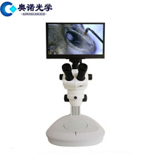 �����wʽ�@΢�R���B����X��ֱ�����@ʾ���m��������t�W���ʸ���