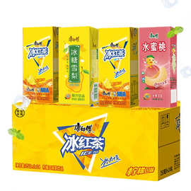 康师傅饮料250ml*24盒装冰红茶茉莉混合口味夏季休闲果味饮品
