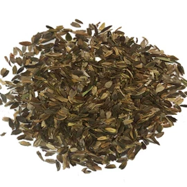 盆栽;月季蔷薇植物;乔木