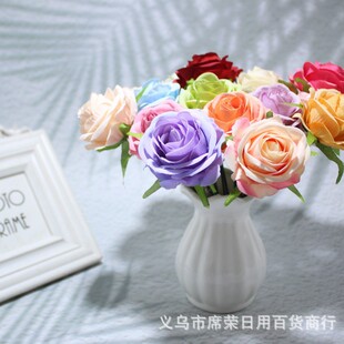 ����õ�廨�����^̫��õ����DIY�^�ñ�����b���ϻ���ͯ�ֹ�