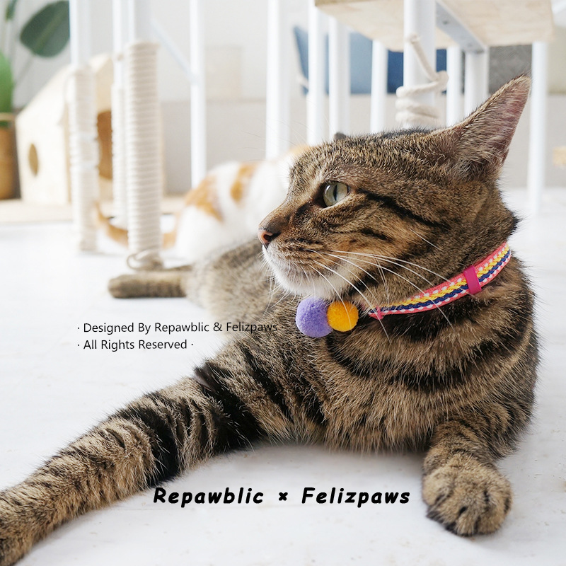 Tùy chỉnh vòng cổ mèo 6.jpg