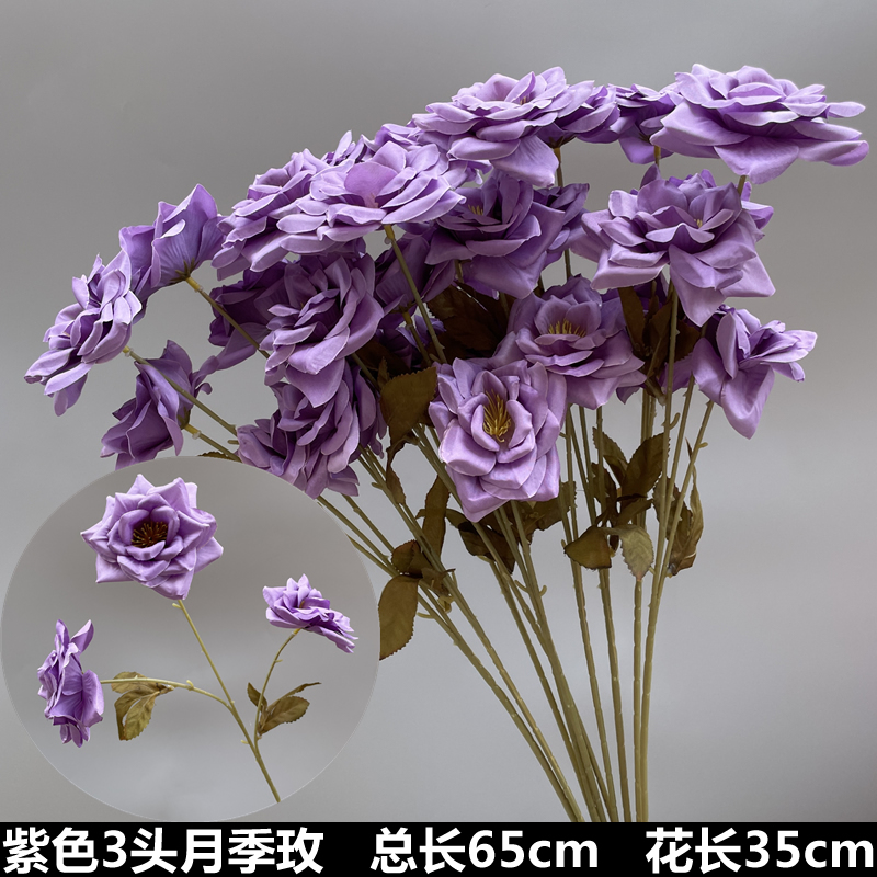 짙은 회색 보라색 3등 장미