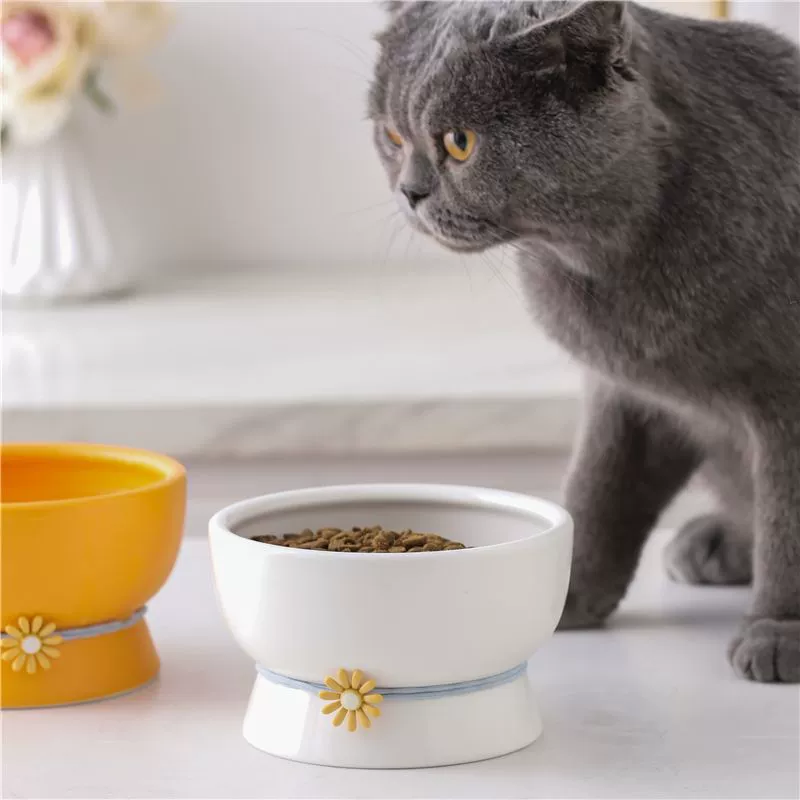  tall footed ceramic cat and dog water bowl to prevent black chin matte black pet bowl small black grain bowl
