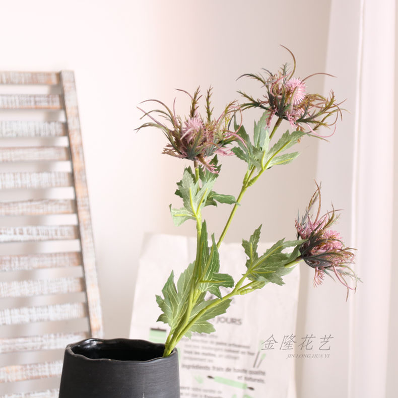 IMG紫绿色刺芹瓶790