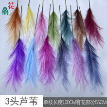 5���JȔë 3�^��5�^��7�^��12�^�JȔ ��Y�����ٻ� �Ƶ��b���