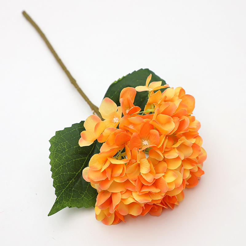 Light orange