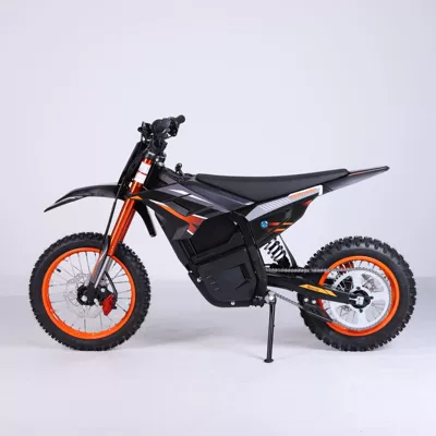 Motor, All-Terrain Electric Vehicle, Elektrikli motosikletlər