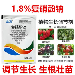 1.8%�������cֲ�����L�{������������ٰlѿ�~Ƭ���G���߻���