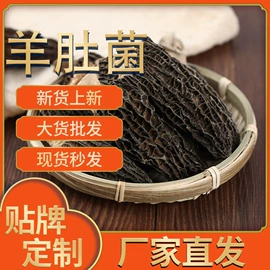 其他干货;蘑菇;羊肚菌