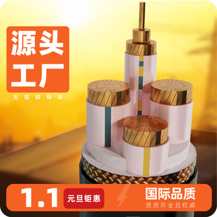 YJY��|�������~оWDZC-YJY-0.6/1KV-3*95+1*50 ��ȼ�ͻ������|