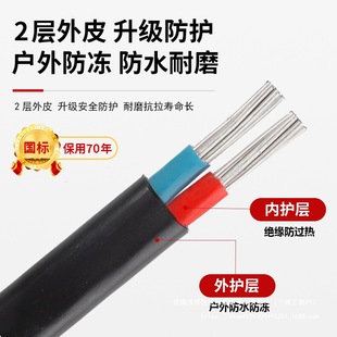 National standard 2-core aluminum core household outdoor cable wire 4 6 10 16 25 square double-core aluminum wire sheath wire