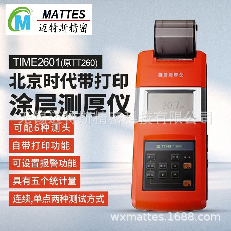 高精度涂层测厚仪 TT260分体式涂层测厚仪 TIME2601带打印膜厚仪