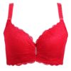 Lace sexy bra with steel rings, supporting thin underwear, plus size, wholesale