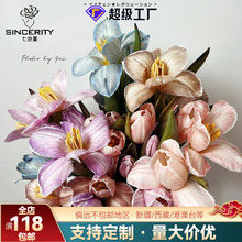 rɫȾɫȾϻõ廨껨ˇYĭho300ML