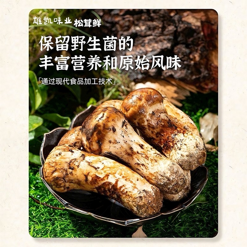 松茸フレッシュ 100g ボトル入りフレッシュ複合調味料で、チキンエッセンスとMSGを置き換え、松の新鮮な野菜とキノコパウダーを増やします。|undefined