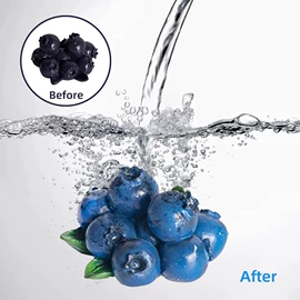 动植物仿真;其他益智玩具;仿真果蔬/食物玩具