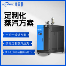 中小型企业适用出厂即用安装简便性价比高快装0.5吨燃气蒸汽锅炉