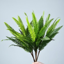 仿真波斯蕨肾蕨叶单支天门冬绿植鹿角蕨叶摆放花卉装饰花卉叶材