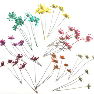 ���^�ٽz�ɻ� ѩ�黨Ѻ���˱����z�֙C���滨�ֹ�DIY���ϸɻ�����