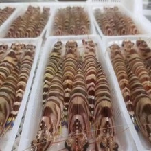 �����|ɽ�u ��߹��r �Ź��r ���r ��Ʒ���rˮ�a���l ʳ���r�aƷ