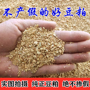 �Ѓ��Z���������S������ �ߵ���45%