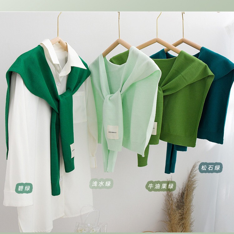 2026 New Spring and Summer Thin Knitted Shawl for Women, Outerwear Shirt, Office Air Conditioning Shoulder and Neck Warmer