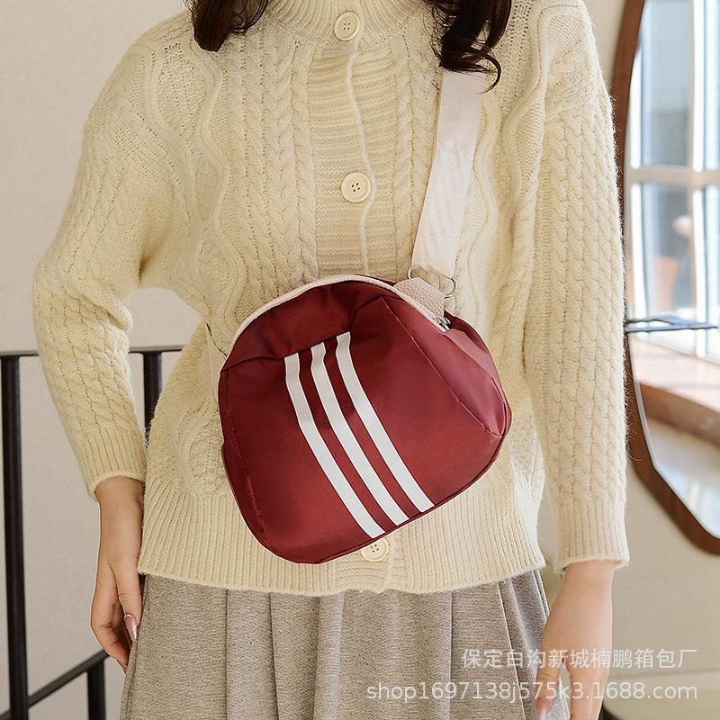 2024 New single-shoulder crossbody bag for girls, large capacity for mobile phone makeup, Korean version, stylish portable bag for commuting, niche undefined