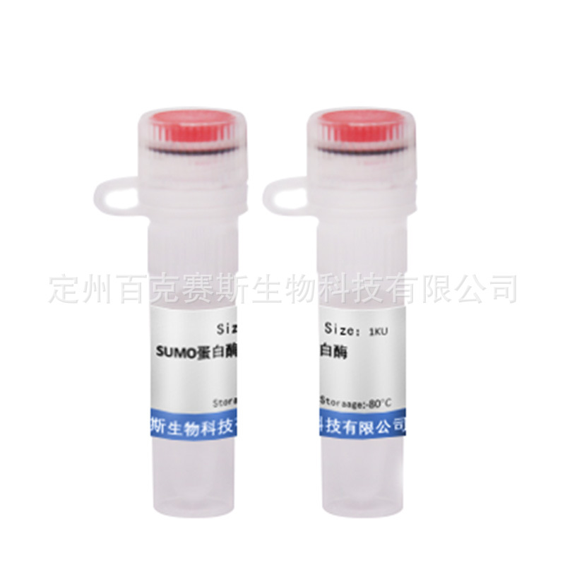 SUMO蛋白酶 实验室科研用试剂 UIP 百克赛斯生物 1KU/支